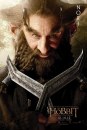 Lo Hobbit: pioggia di character poster