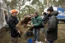 Nel Paese delle Creature Selvagge - tutte le foto del film