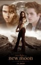 New Moon: quattro locandine fake