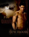 New Moon: tre locandine - indovinate quella vera