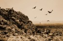 Oscar 2011: Waste Land - foto e trailer del documentario sull\'artista Vik Muniz