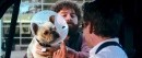 Parto col folle: 80 foto del film con Robert Downey Jr. e Zach Galifianakis