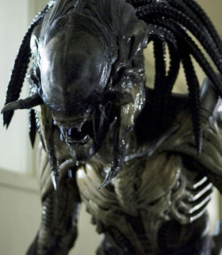 alien vs predator