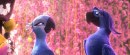 Rio 2 -  prime immagini ufficiali del sequel d'animazione di Carlos Saldanha