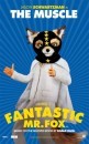 Sette coloratissimi character poster in arrivo da Fantastic Mr. Fox