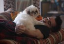 Seven Psychopaths: pioggia di foto per il film con Colin Farrell