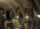 Skeleton Bar: Il Locale Alien creato da Hans Rudi Giger - le foto