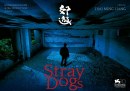 Stray Dogs: foto e poster del film di Tsai Ming-liang