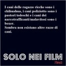 Succede... Solo Nei Film