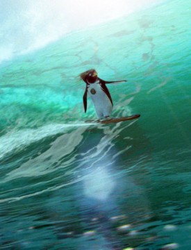 surfs up dvd