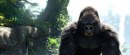 Tarzan 3D: immagini del film d'animazione in CG