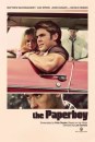 The paper Boy - Nicole Kidman e Zac Efron sul primo teaser poster del film