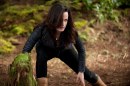 The Twilight Saga: Breaking Dawn – Parte 2: nuova galleria con tantissime foto