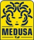 Medusa Tutti i loghi delle case di produzione cinematografica