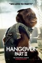 Una notte da Leoni 2 - The Hangover 2: poster dei protagonisti