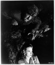 Universal Classic Monsters – The Essential Collection