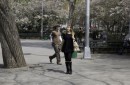 Whatever Works: le foto del film di Woody Allen