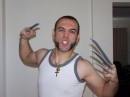 Wolverine