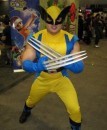 Wolverine