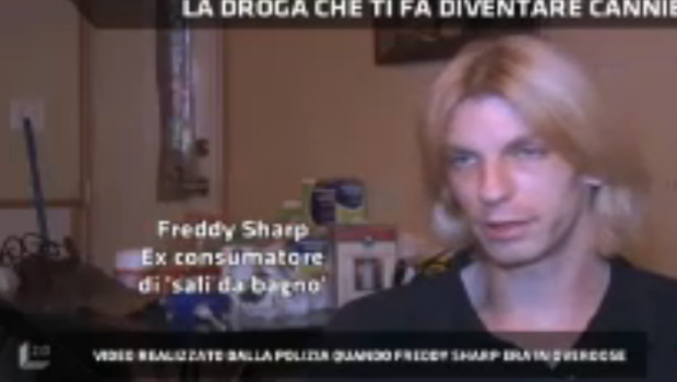 lucignolo freddy