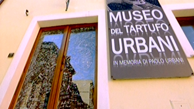 museo tartufo urbani