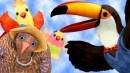 3rd and Bird: la serie prescolare di Playhouse Disney