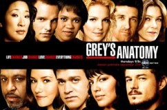 Grey s anatomy 5