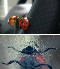 Le coccinelle dello spot Peugeot 207