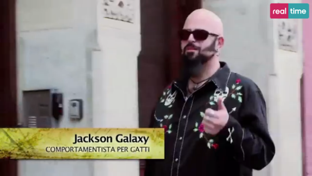 jackson galaxy