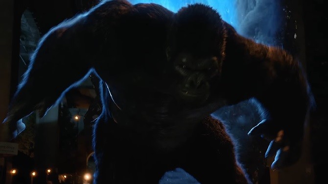 gorilla-grodd.jpg