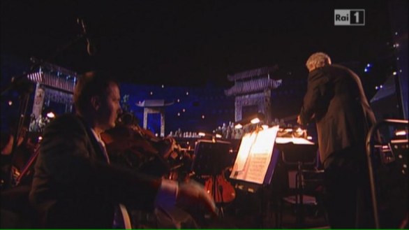 Arena di Verona 2013, Rai 1 - 10 giugno 2013