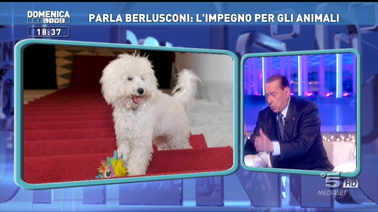 0427_183734_DomenicaLive