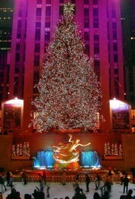 new york christmas tree rockefeller center