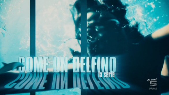 Come un delfino - La serie