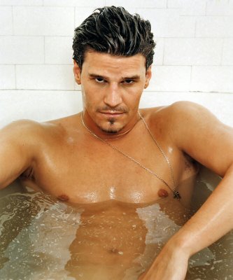 David Boreanaz