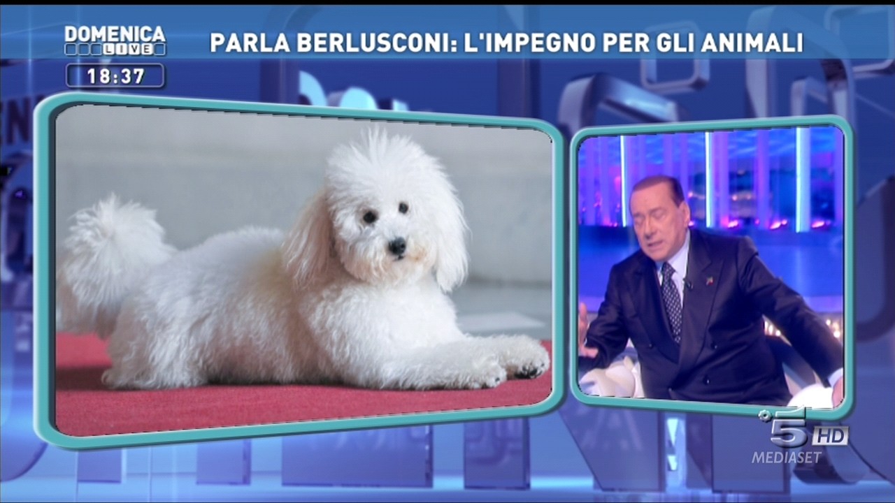 0427_183707_DomenicaLive