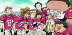 EyeShield 21