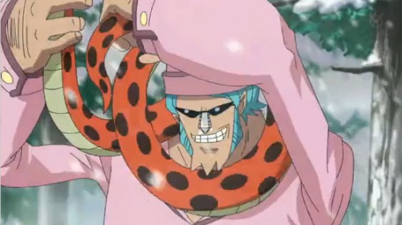 Franky in One Piece