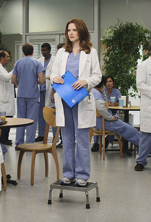 Grey s anatomy 8