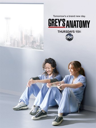 Grey s anatomy 8