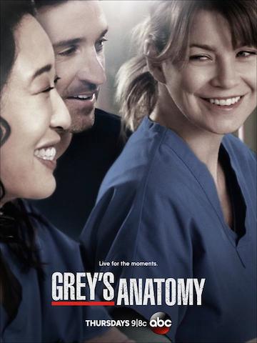 Grey's anatomy 10