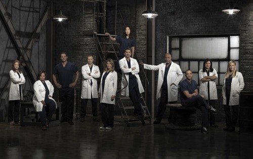 Grey's anatomy 10