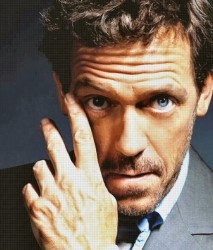 Dr. House (Hugh Laurie)