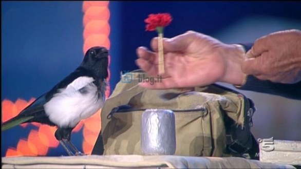 Italia's Got Talent 2011: fotogallery prima puntata