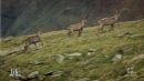 Life - Uomo e natura: foto prima puntata