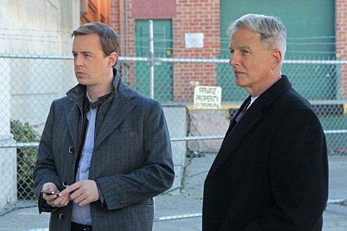 Ncis 10