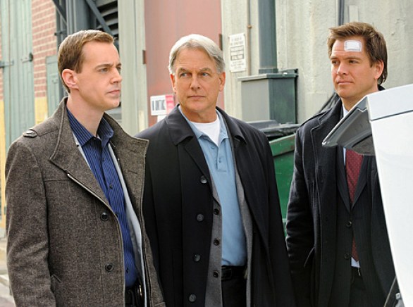 Ncis 8