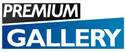 Il Logo di Premium Gallery