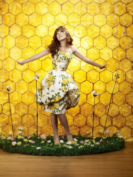 Pushing daisies 2