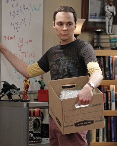 The Big Bang Theory 6